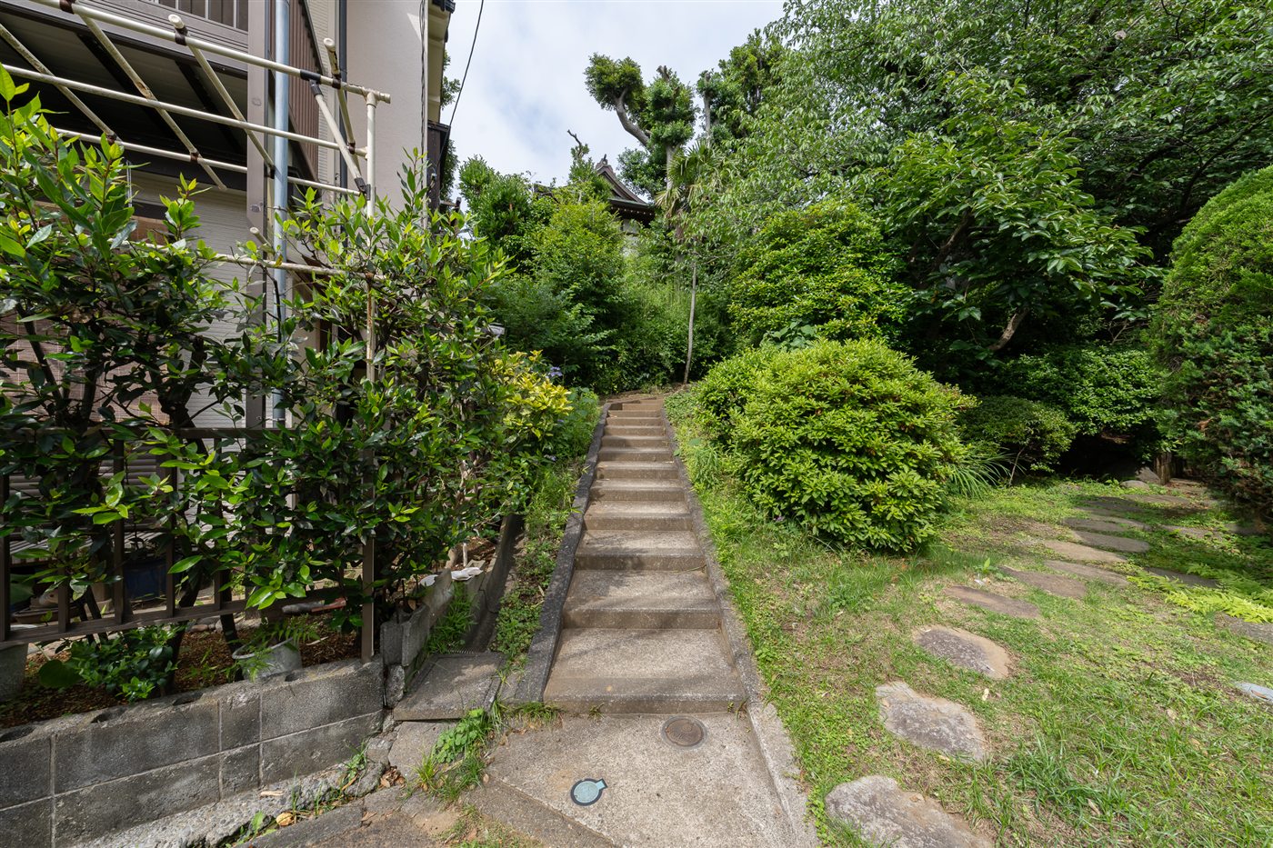 Garden path